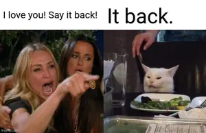 say it back 😭